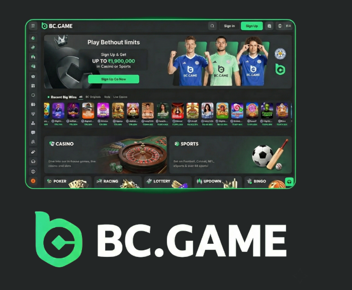 BC.Game Casino Your Ultimate Gaming Destination